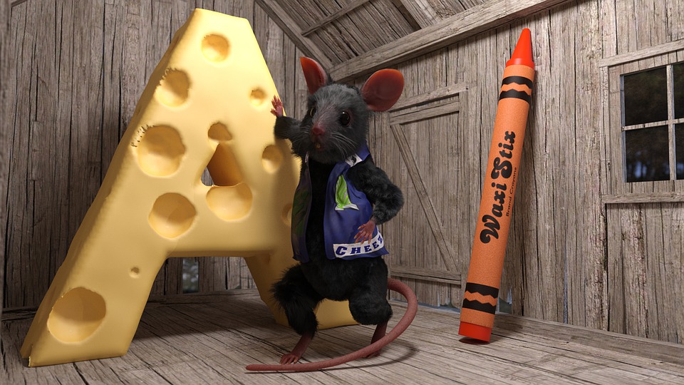 myš a sýr